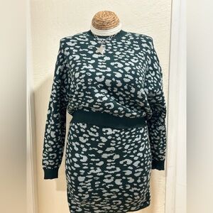 Forever 21 Dark Green and Light Gray Leopard-Print Sweater Set - 2 pc 2XL